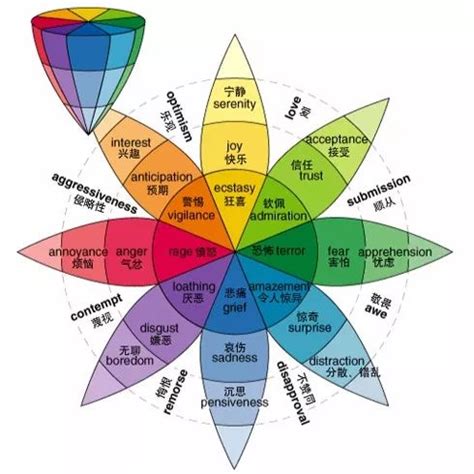 颜色代表的心情|每种颜色代表一种情感，让你的照片有情绪！